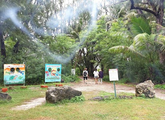 guam/mount-jumullong-manglo/attraction/ritidian-point
