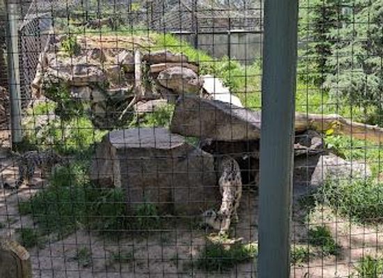 idaho/idaho-falls/attraction/tautphaus-park-zoo