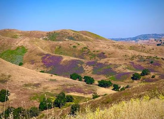 california/oxnard/attraction/cheeseboro-palo-comado-canyon