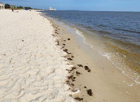 mississippi/the-gulf-coast/attraction/mississippi-gulf-coast