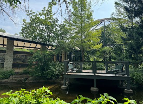 missouri/st-louis/forest-park/attraction/saint-louis-zoo
