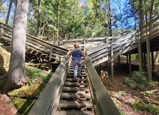 west-virginia/bluefield/attraction/beartown-state-park