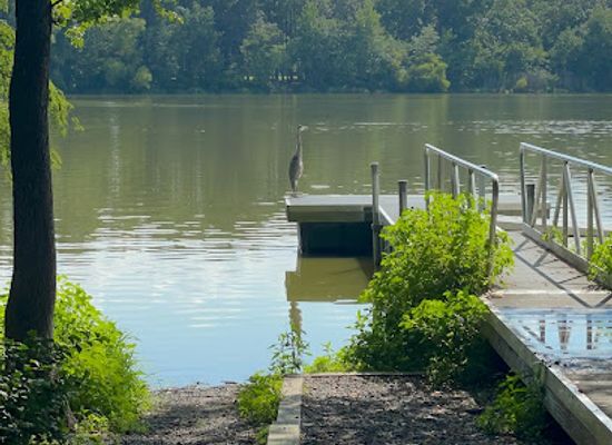 delaware/trap-pond-state-park/attraction/trap-pond