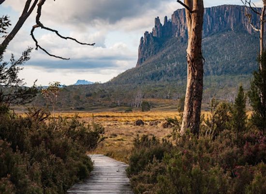 australia/cradle-mountain-lake-st-clair-national-park/attraction/new-pelion-hut