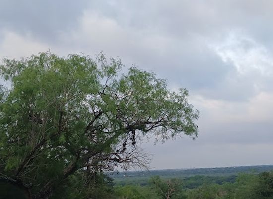 texas/central-texas/attraction/republic-of-texas-museum