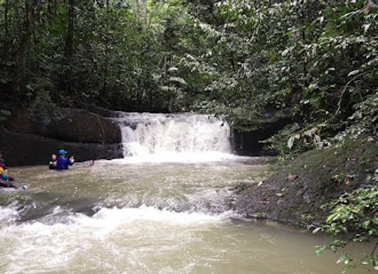 brunei/ulu-temburong-national-park/attraction/wasai-panji
