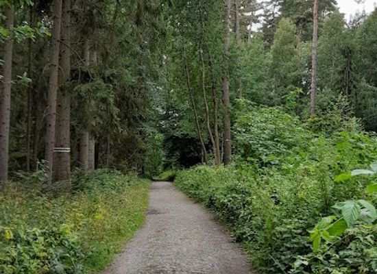czechia/svaty-kopecek/attraction/svatokopecka-trasa-na-svatem-kopecku