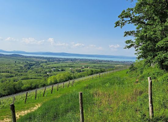 hungary/balaton-uplands/attraction/kishegyi-kilato-balatonlelle