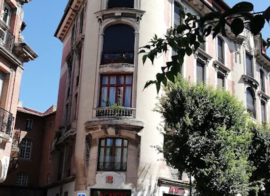 france/toulouse/attraction/musee-paul-dupuy