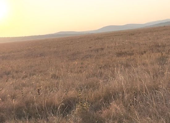 rwanda/akagera-national-park/attraction/lake-birengero