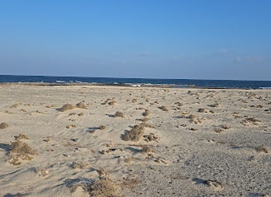 oman/masirah-island/attraction/ras-ka-abah