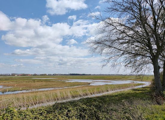 netherlands/noordoostpolder/attraction/schokkerbos