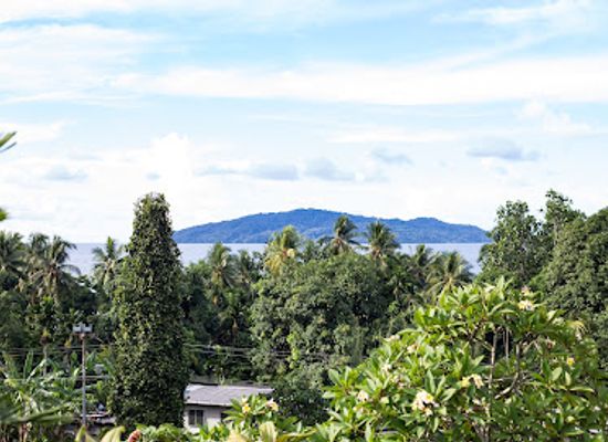 papua-new-guinea/buka/attraction/vunela-martyrs-historical-site-wwii-japanese-tunnels