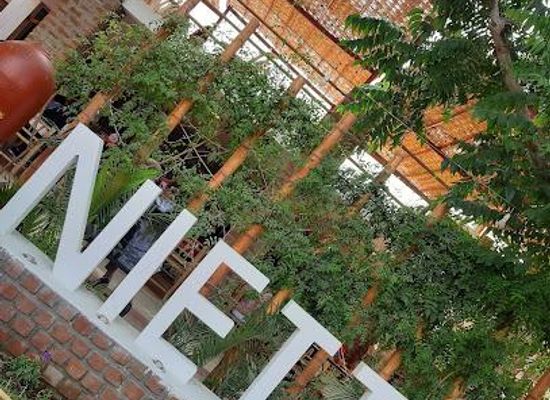 peru/ica/attraction/pisco-nietto