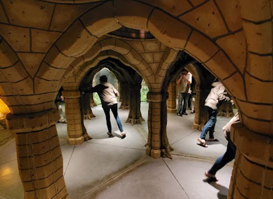 virginia/northern-virginia/attraction/mirror-maze