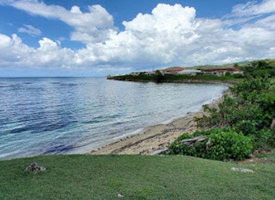 jamaica/negril-area/attraction/humble-redz-tours-and-taxi