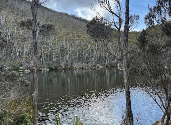 australia/mount-field-national-park/attraction/beatties-tarn