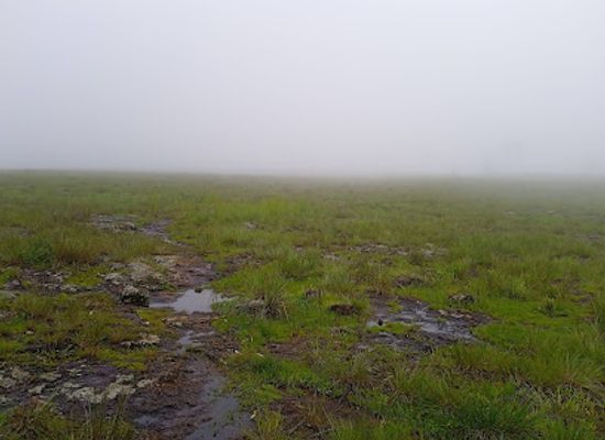 cameroon/west-region/attraction/plateau-yeh-ngneuh