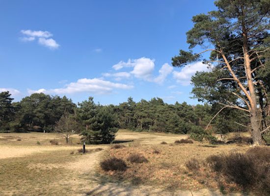 netherlands/gelderland/attraction/rozendaalse-zand