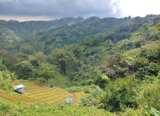 philippines/cebu-city/attraction/sudlon-national-park