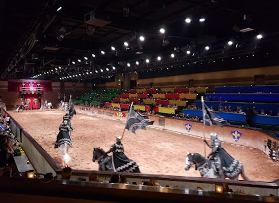 arizona/tonto-national-forest/attraction/medieval-times-dinner-tournament