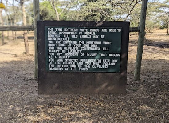 kenya/mount-kenya/attraction/northern-white-rhinos-enclosure