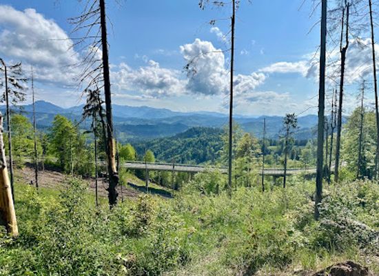 slovakia/kysuce/attraction/hojdacka-pod-mrvovou-kykulou