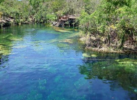 mexico/cozumel/attraction/cenote-jardin-del-eden