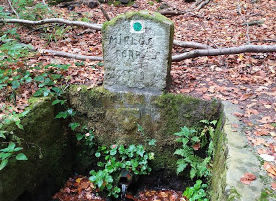 hungary/pilis-mountains/attraction/miklos-forras