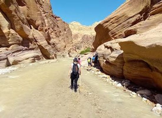 jordan/kerak/attraction/wadi-al-hasa-hike-trail