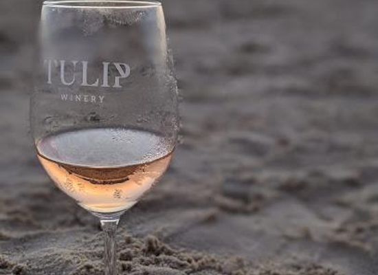 israel/hadera/attraction/tulip-winery