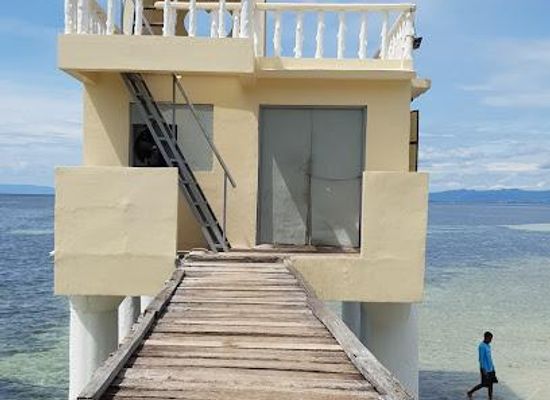 philippines/bohol/attraction/nalusuan-island-resort-and-marine-sanctuary