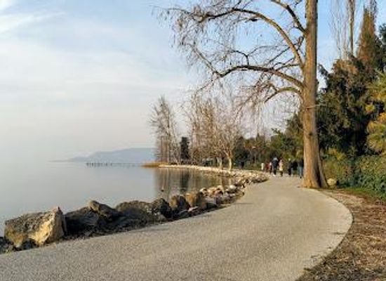 italy/verona/attraction/lungolago-da-lazise-a-cisano