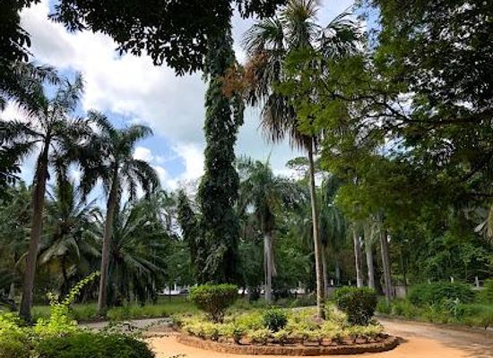 tanzania/dar-es-salaam/attraction/botanical-garden