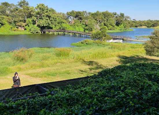 zimbabwe/midlands/attraction/antelope-park