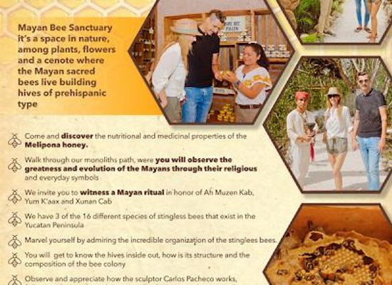 mexico/cozumel/attraction/mayan-bee-sanctuary