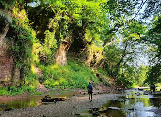 united-kingdom/dunbartonshire/attraction/the-devil-s-pulpit