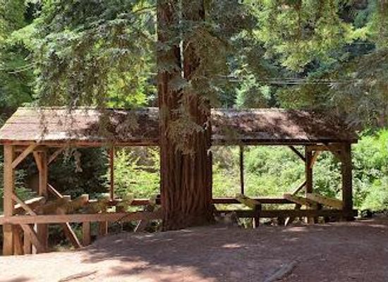 california/san-mateo/attraction/old-mill-park