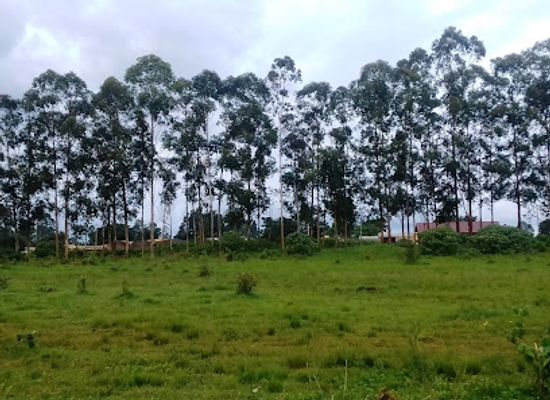 cameroon/ngaoundere/attraction/espace-vert-de-manwi