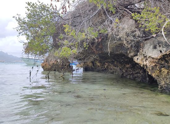 mauritius/flacq/attraction/sirena-cruise