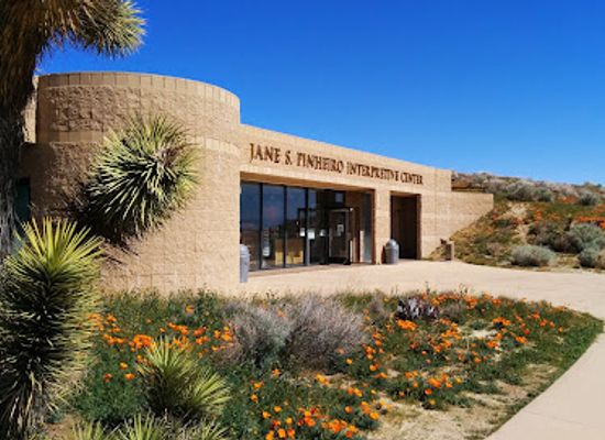california/southern-california/attraction/antelope-valley-california-poppy-reserve