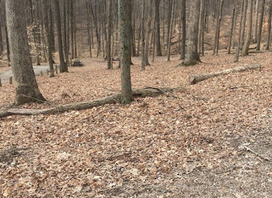indiana/morgan-monroe-state-forest/attraction/scout-ridge-nature-preserve