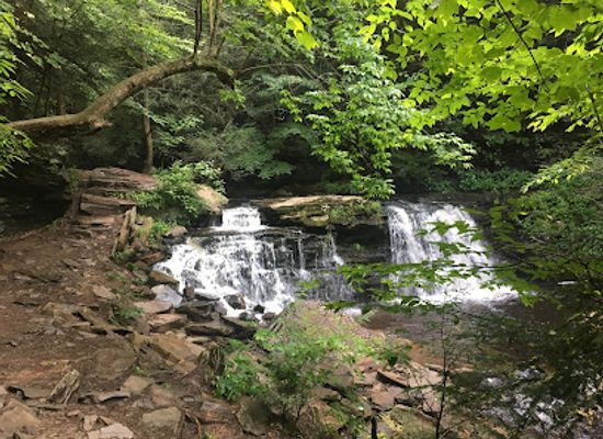 pennsylvania/ricketts-glen-state-park/attraction/falls-natural-trail-rickett-s-glen