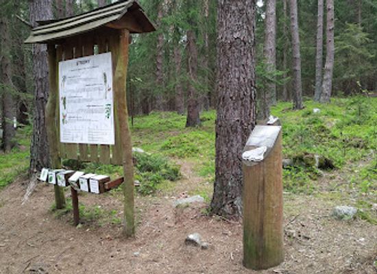 czechia/sumava-national-park/attraction/mravenci-stezka-areal-lesnich-her-srni