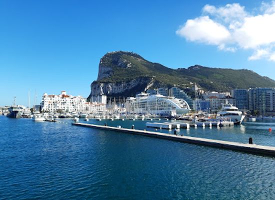 gibraltar/little-bay/attraction/dolphin-safari-gibraltar-dolphins