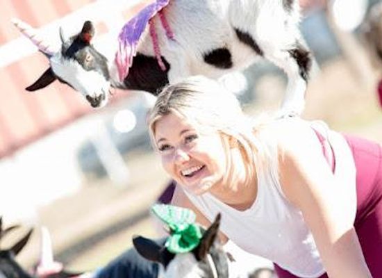 arizona/pinal-county/attraction/baby-goat-yoga