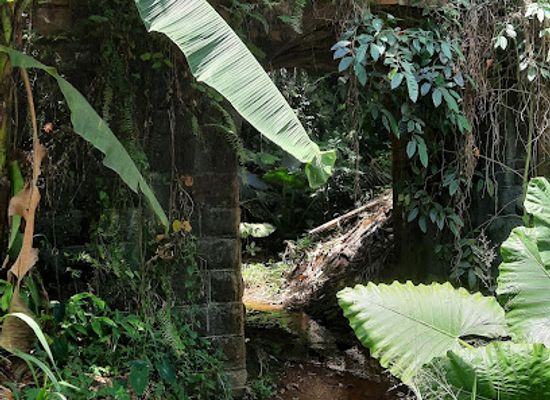 sri-lanka/wet-zone/attraction/old-railway-pussalla-stone-bridge