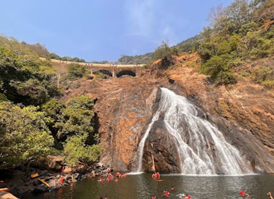 india/goa-beaches/attraction/mollem-national-park-bhagwan-mahavir-wildlife-sanctuary