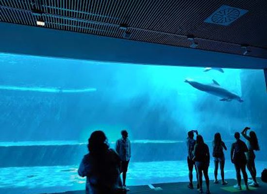 italy/genoa/attraction/aquarium-of-genoa