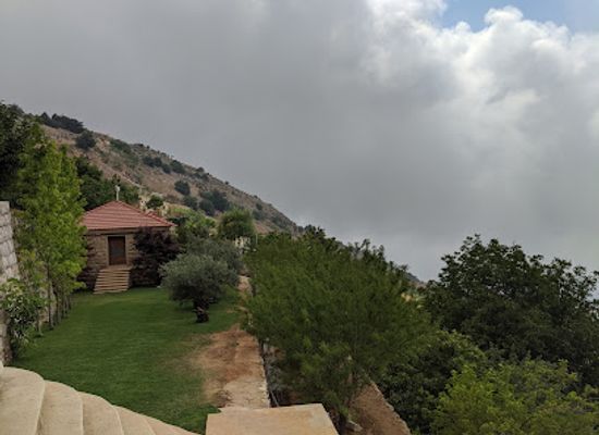 lebanon/al-shouf-cedar-nature-reserve/attraction/cedars-forest